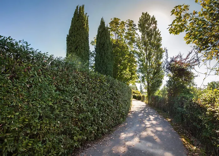 Noal アパート Visano