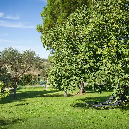 Διαμέρισμα Noal Calmasino